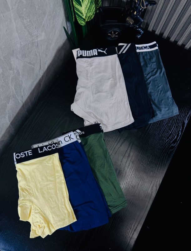 Boxer