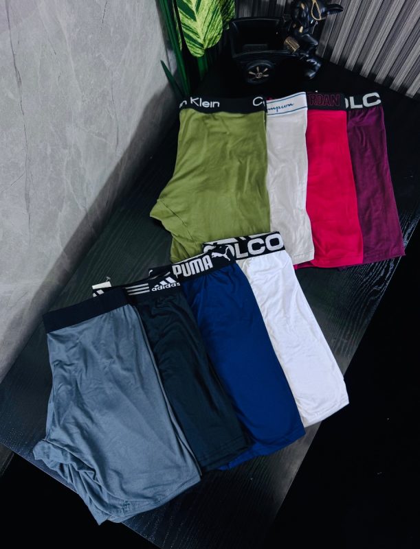 Boxer Plus