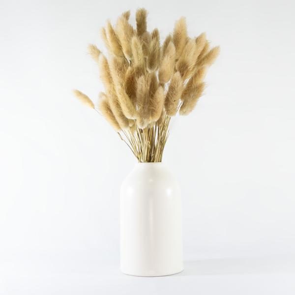 Florero con Lagurus natural seca