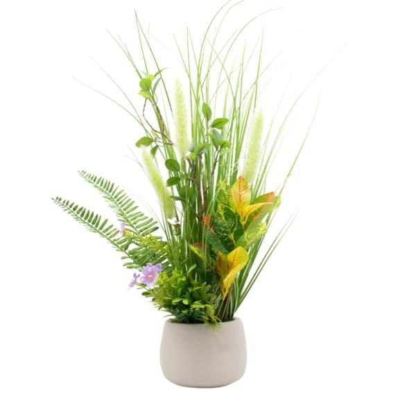 Arreglo Ornamental 6 tipos de plantas diferentes
