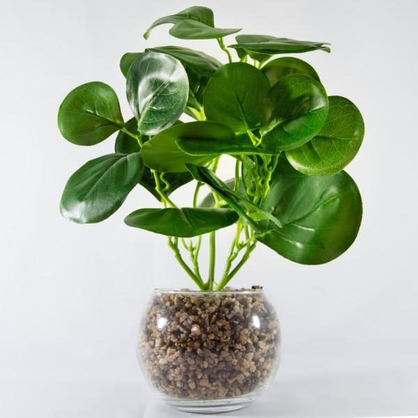 Florero vidrio con planta
