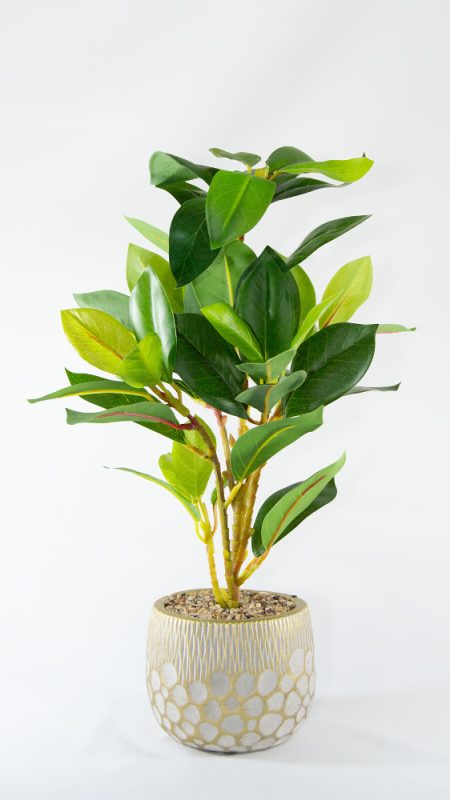 Florero dorado con planta croton
