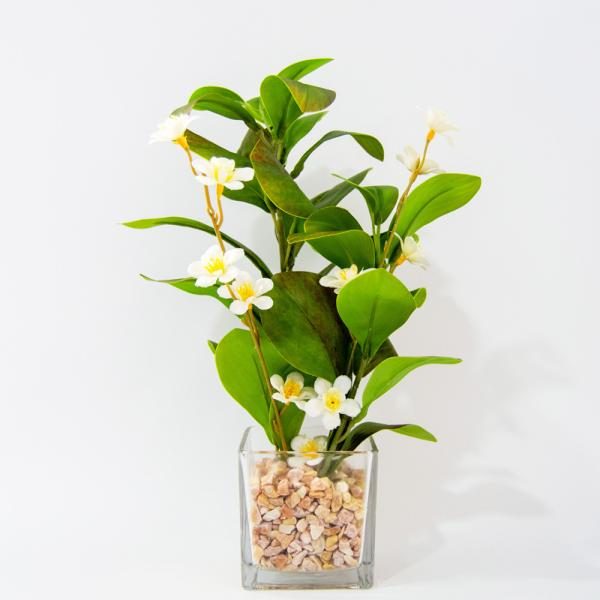 Florero vidrio con Flor de Mai