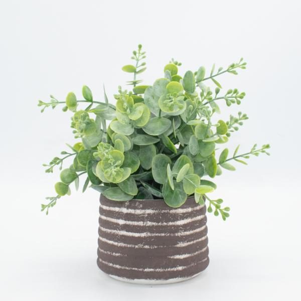 Florero arbusto  de Eucalipto