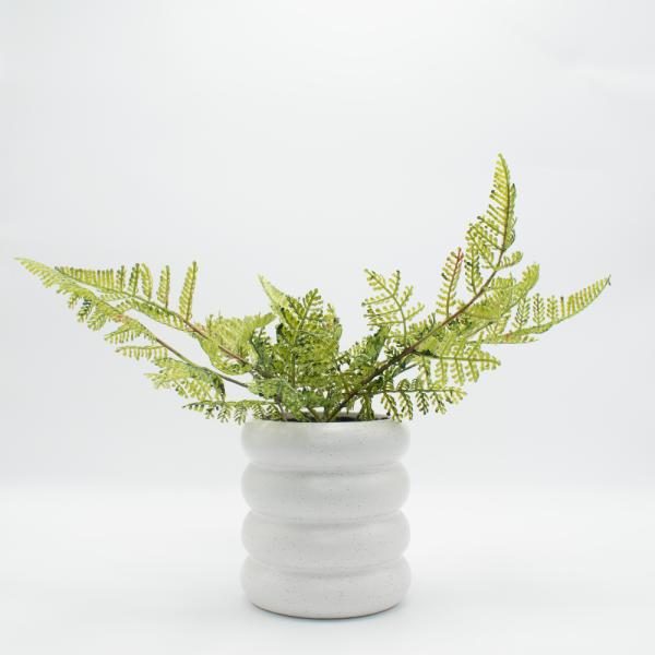 Helecho Boston 30cm x 20cm Florero ceramico