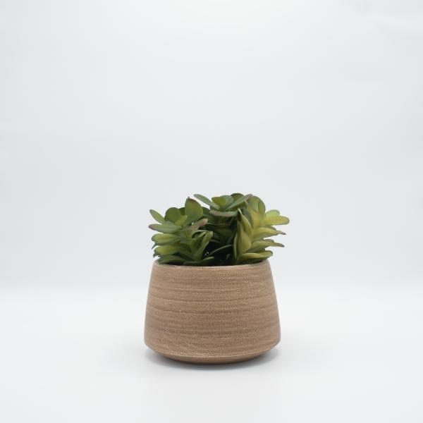 Florero de ceramica cafe con suculenta 15 cm de ancho x 16 cm de alto