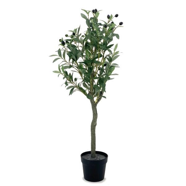 Arbol de olivo. Maceta plastica 95cm