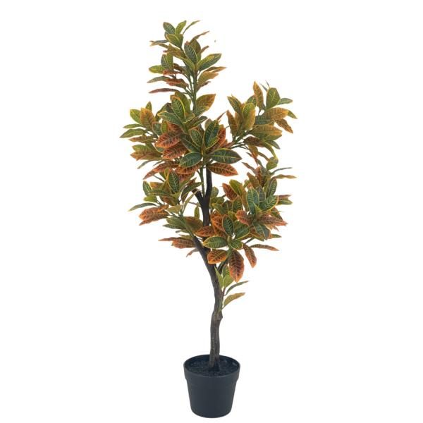 Arbol croton. Maceta plastica 115cm