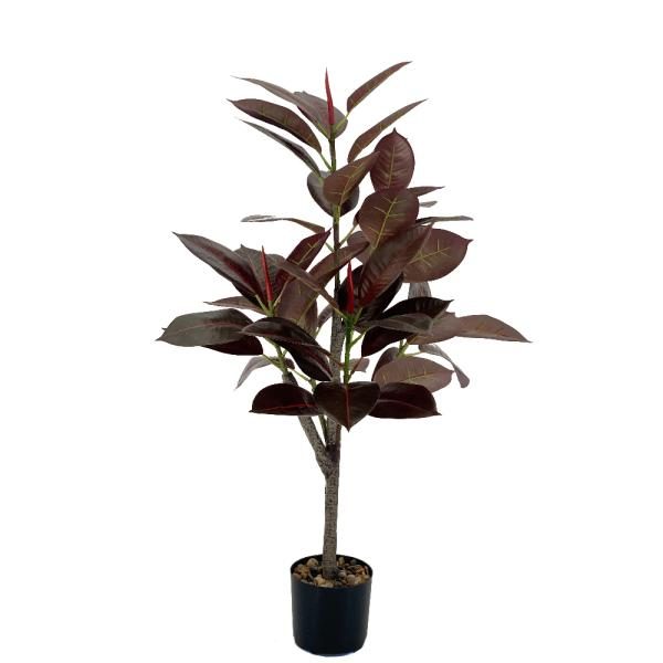 Arbol de caucho. Maceta plastica 88cm