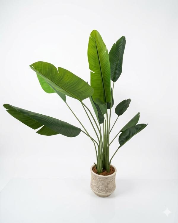 Arbol de hoja de banano 220 cm de altura
