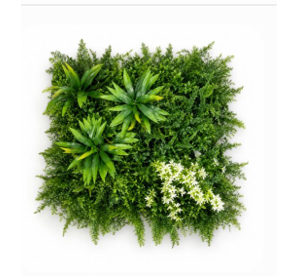 Follaje 50x50 Mixto de 3 plantas