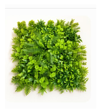Follaje 50x50 mixto de 5 plantas