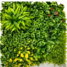 follaje 50x50 Mixto de 6 plantas