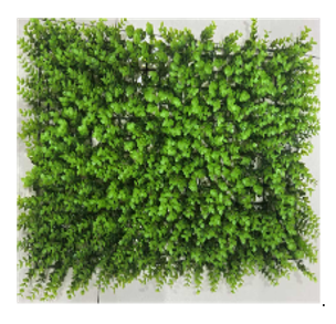 Follaje de Eucalipto 60x40