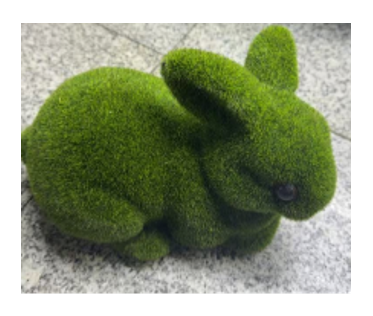 Conejo de Jardin tipo Musgo