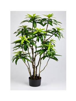 Bambú Lirio 140cm