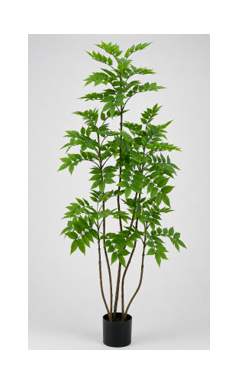 Arbol de Aralia 150cm