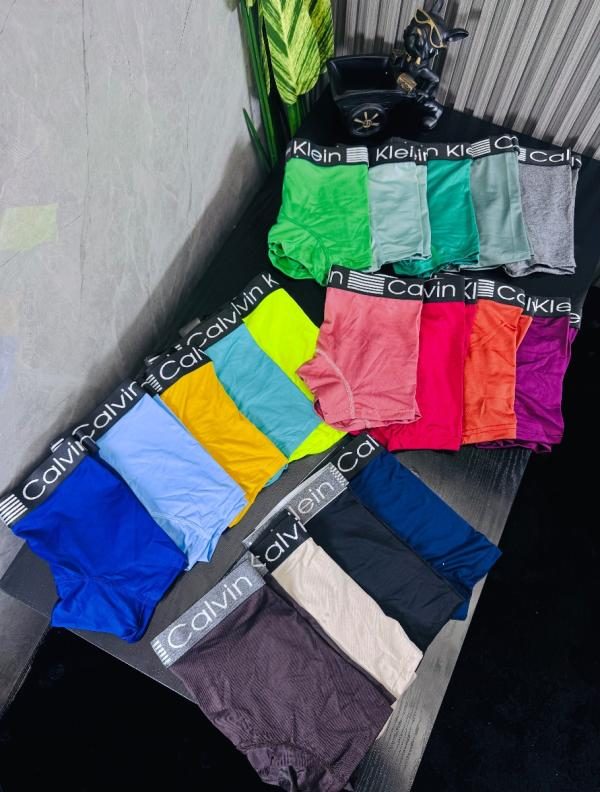 Boxer Eco